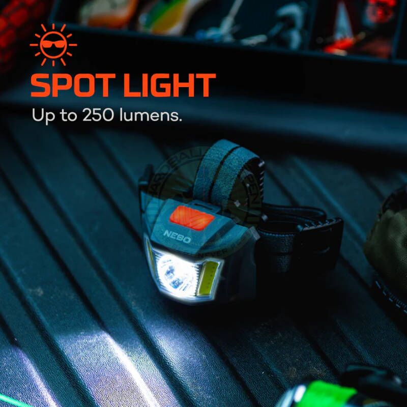 Nebo - Pandelampe Einstein 250 - Billede 5